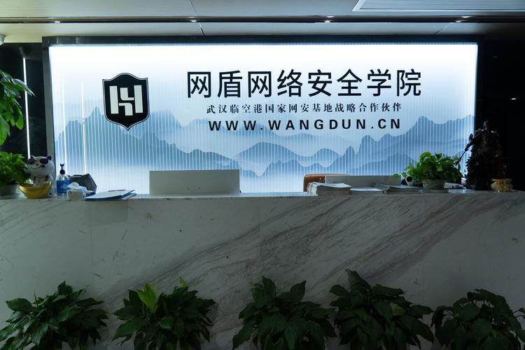 隐形的植入 境外价值观渗透儿童的多重路径与防范